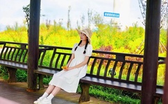 成视频在线播放免费人成